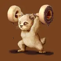 DONUTLIFTING - design