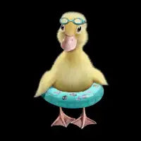 DUCK - design