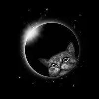 ECLIPSE GERHANA CAT - design
