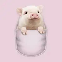 BIG PIG POCKET - design
