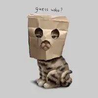 GUESS WHO? - design