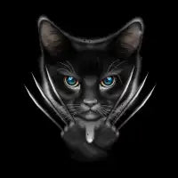 MEOWERINE - design
