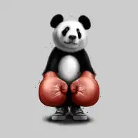 PANDA BOXER - design