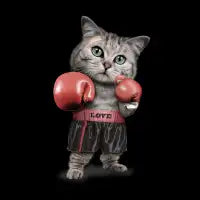 BOXING CAT - design