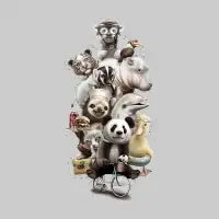 ZOO ESCAPE - design