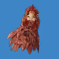 Chicken - design