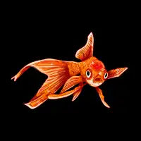 Goldfish - design