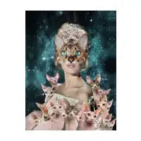 Cat Lady - design