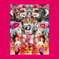 Vampira - design