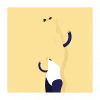 undress - design