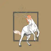 Unicorn - design