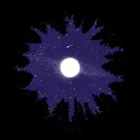 FOREST DOME - design