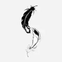 Bird Feather - design