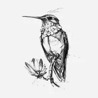 Bird - design