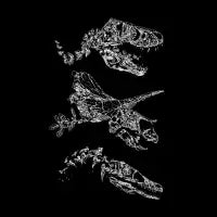 Dino Scule - design