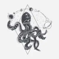 Geometric Octopod - design