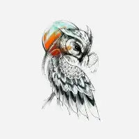 OWL Moon - design