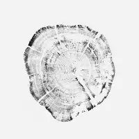 Tree Ring Year - design