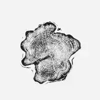 Tree Ring Year - design