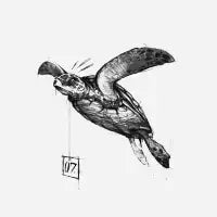 Turtle - design