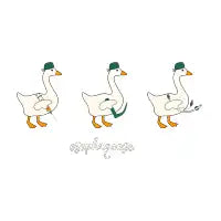 Esophagoose - design
