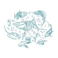 Skeleton - design