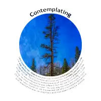 Contemplating T-Shirt - design