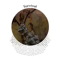 Survival T-Shirt - design