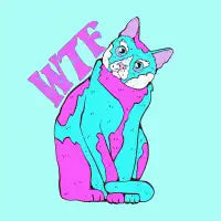 aqua wtf confused cat art - design