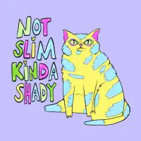 not slim, kinda shady chonky cat - design