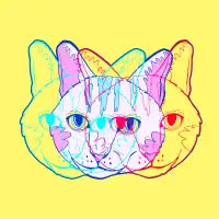 Triplicate Cat - design