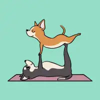 Acroyoga Chihuahua - design