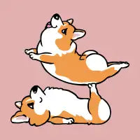 Acroyoga Corgi - design
