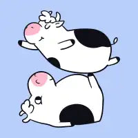 Acroyoga Cow - design