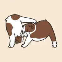 Acroyoga English Bulldog Love - design