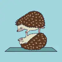 Acroyoga Hedgehog - design