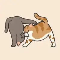 Acroyoga Persian Cat Love - design
