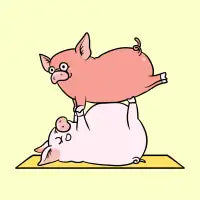 Acroyoga Pig - design