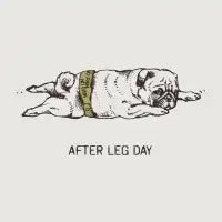 AFTER LEGDAY - design