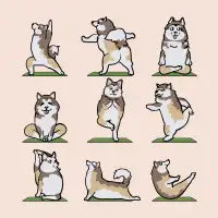 Alaskan Malamute Yoga - design