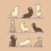 ALPACA YOGA T-Shirt - design