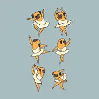Ballet Pug - design