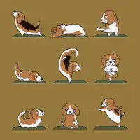 Beagle Yoga - design
