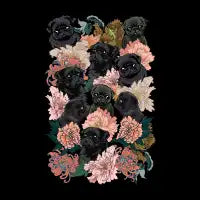Because Black Pug - design