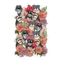 BECAUSE SCHNAUZERS - design