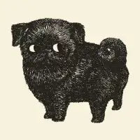 Black Pug - design