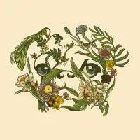 Botanical Pug - design