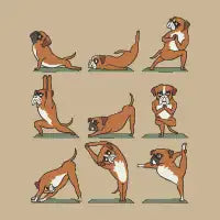 Boxer Yoga - design