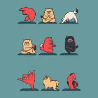 Cat Yoga - design