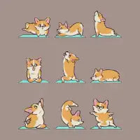 Corgi Yoga - design